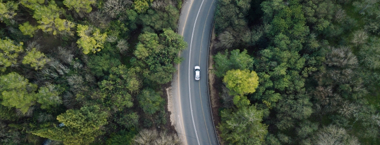 erdőben utazó autó felülnézetből
